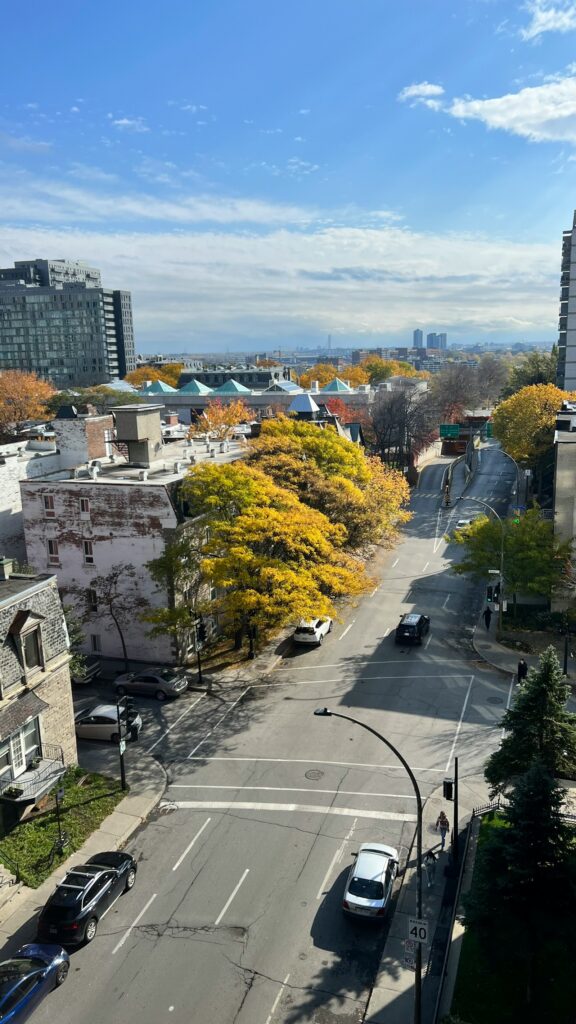 Rue de Montréal bordée d’arbres aux couleurs d’automne